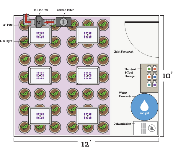 10 x 10 grow tent