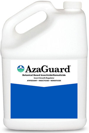 How to kill Mealybugs in garden