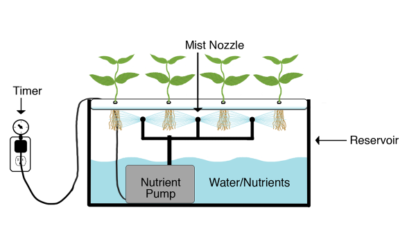 cloning-systems how to clone plants