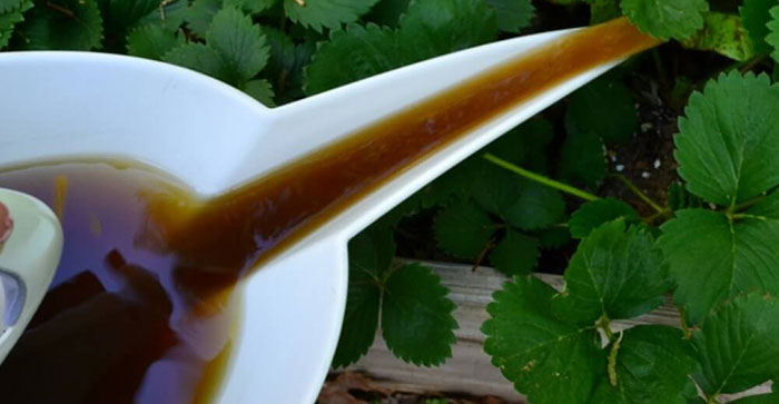 use-tea How To Actually Apply Compost Tea In The Garden
