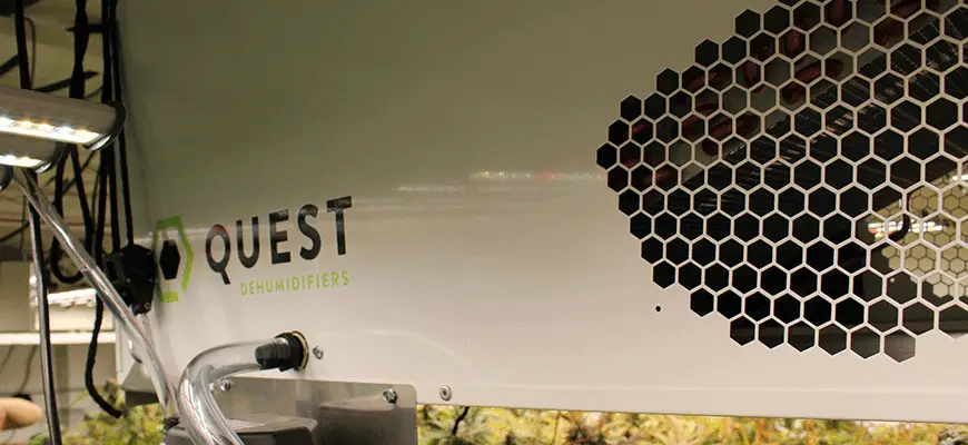 The Best Grow Room Dehumidifiers Of 2021