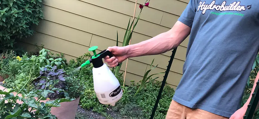 Best Garden Sprayer