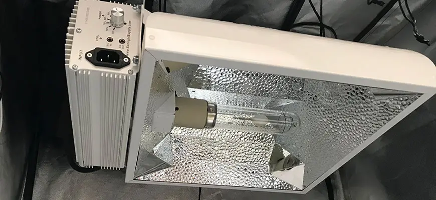 The Best Grow Light Reflector Of 2020