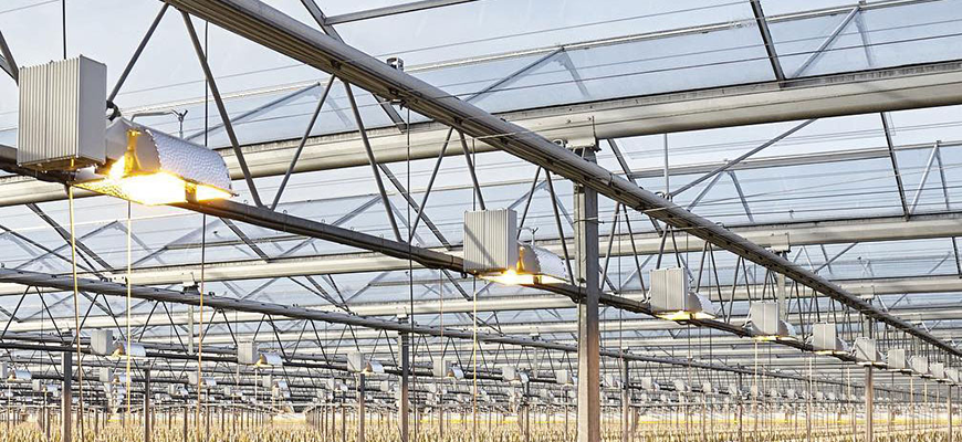 best CMH grow lights