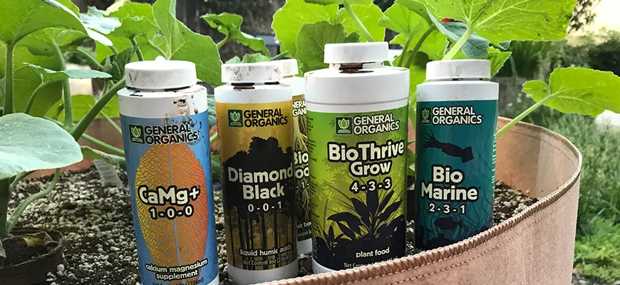 Best Plant Nutrients