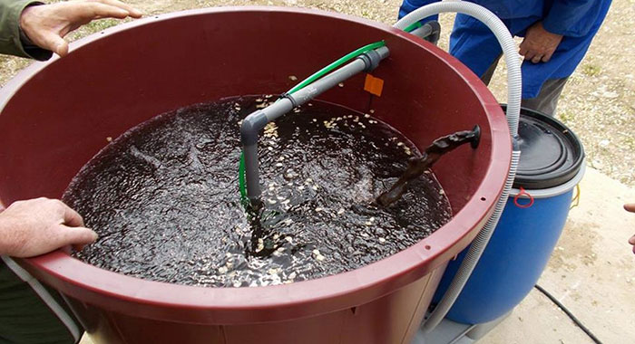garden-compost-tea how to brew compost tea for plants