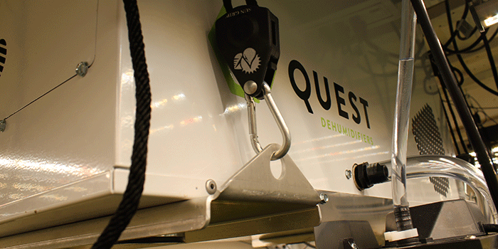 best-dehu What Makes The Best Grow Room Dehumidifier?