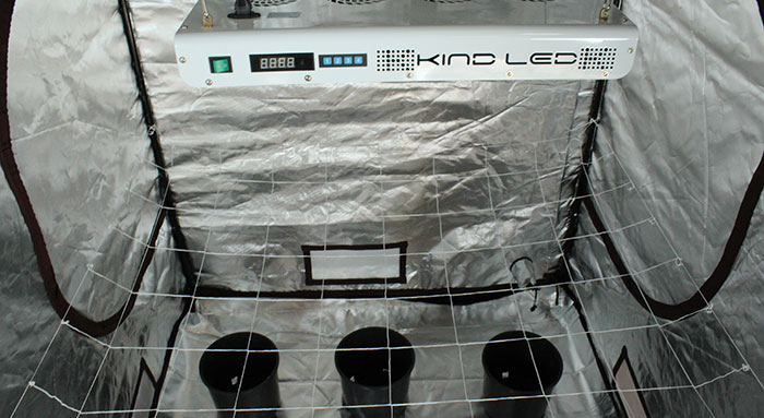 clean clean grow tent