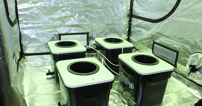 clean-hydro best way to clean a grow tent