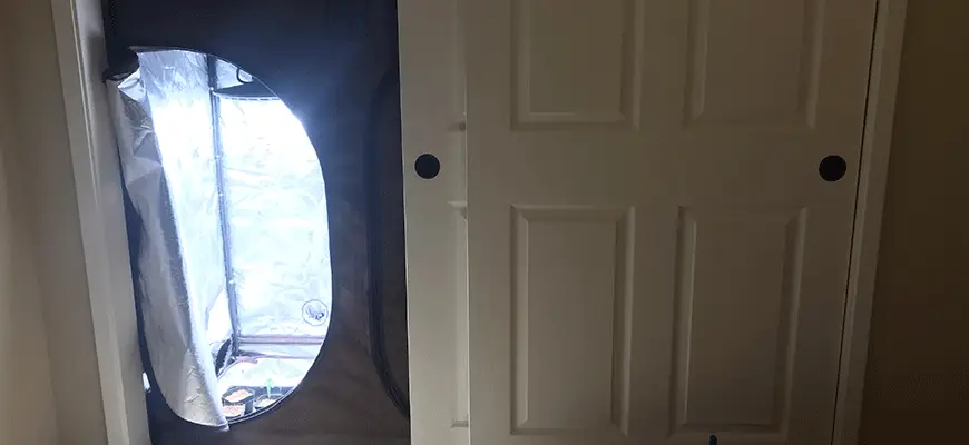 closet grow setup