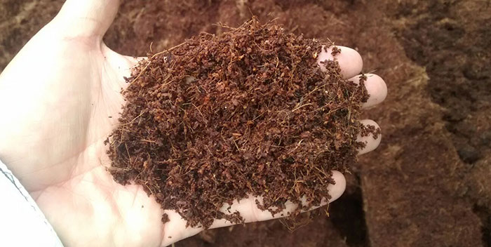 coco What Is Coco Coir?