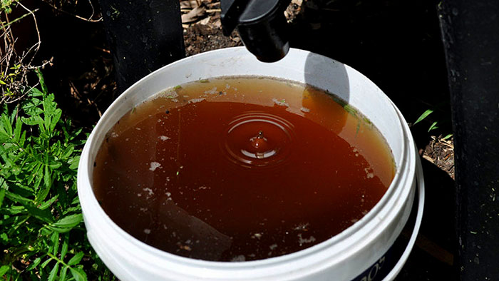 compost-tea Does Compost Tea Really Work As A Fertilizer?
