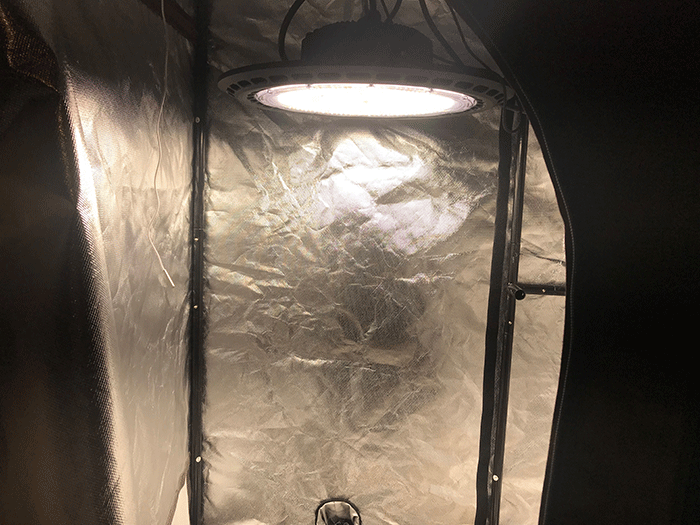 set up closet grow room Covert UFO in a closet