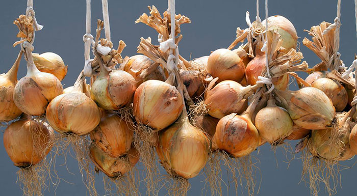 store-shallots drying, curing, and storing shallots