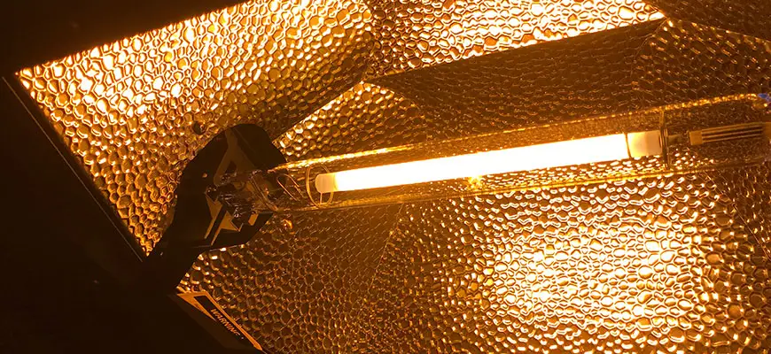 single ended grow lights vs double ended grow lights