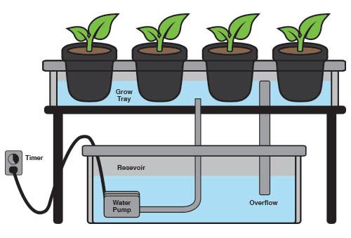ebb-flow Ebb & Flow Diagram