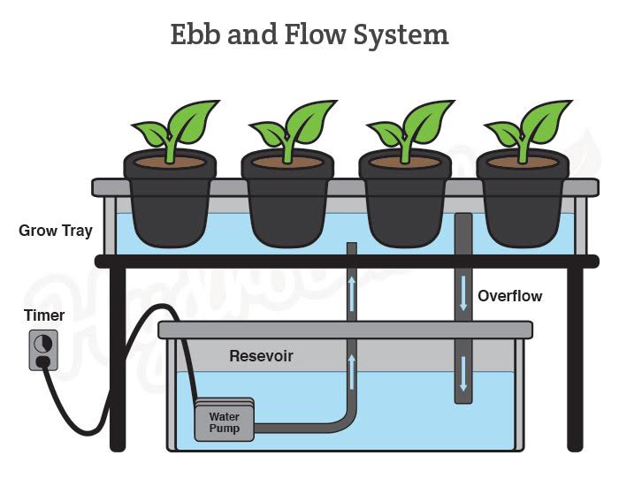 Ebb & Flow System Diagram Ebb & Flow hydroponic system