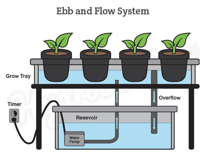 ebb and flow Ebb and Flow Diagram