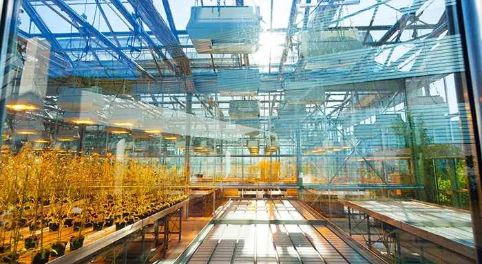 Can Vertical Farming Be the Future?