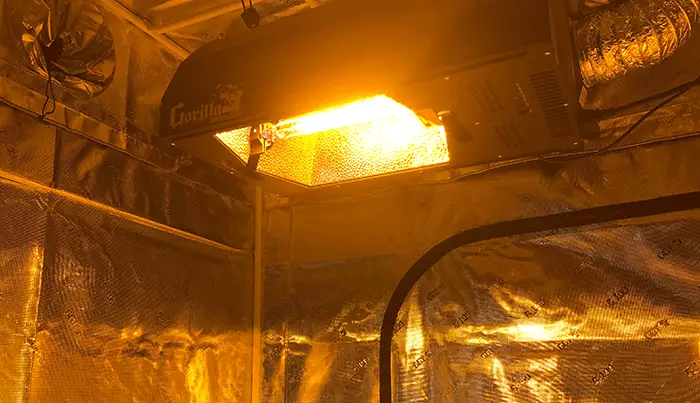 Final thoughts on the Gorilla Pro Series DE Grow Light