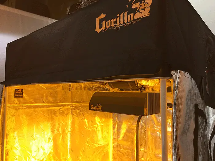 Gorilla DE Grow Light in a Gorilla Grow Tent
