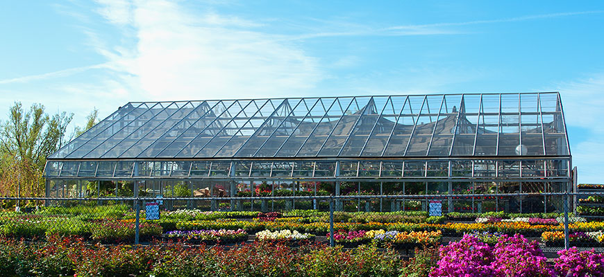 greenhouse growing