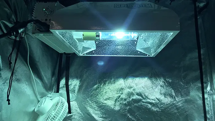 How Long Do Single Ended (SE) HID Grow Light Bulbs Last?