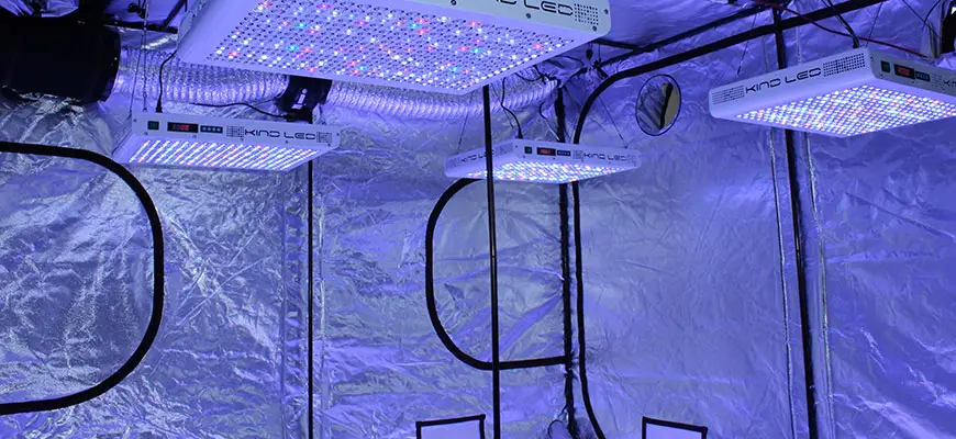 Best way to clean grow tent