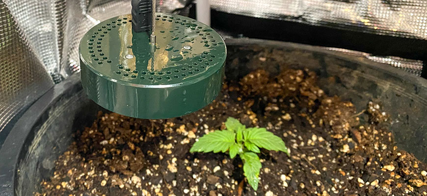 grow tent humidity