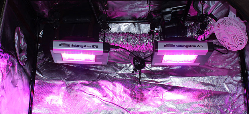 grow tent setup guide
