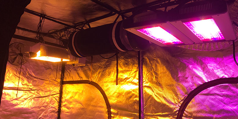 LED-HPS-Lights Comparing LED Grow Lights vs HPS Technology To Determine Which Is Better