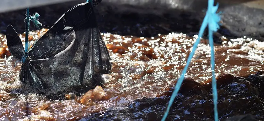 how to make compost tea for the garden