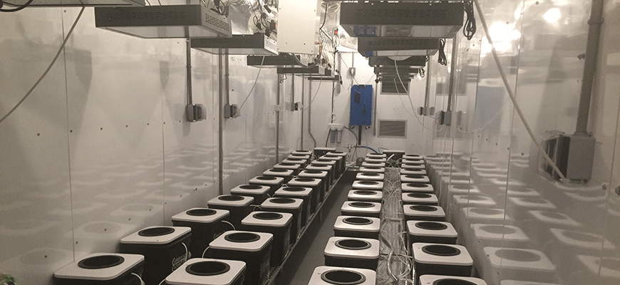 How To Clean Salt Build Up In Hydroponics Systems