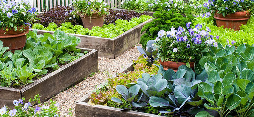 How To Plant A Raised Garden Bed