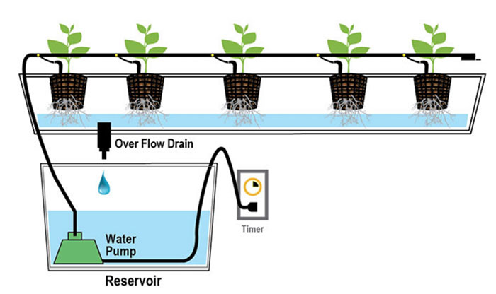 drip Hydroponic Drip Diagram