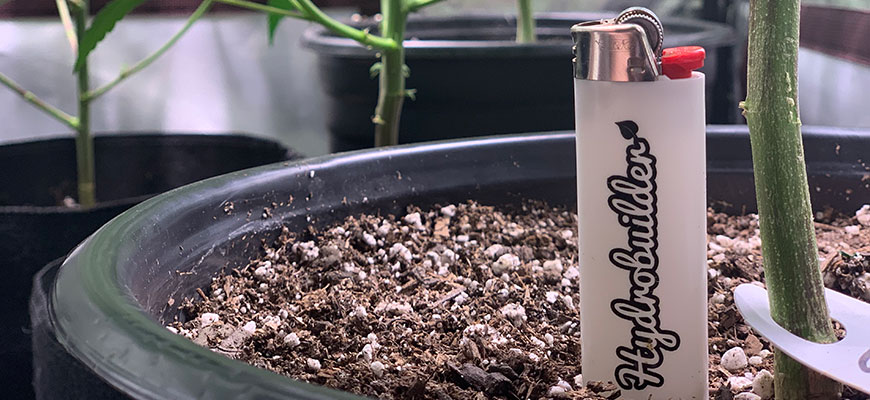 indoor growing guide