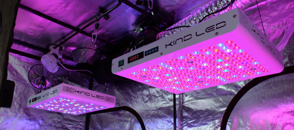 KIND LED In Grow Tent Do LED grow lights cost less to run?