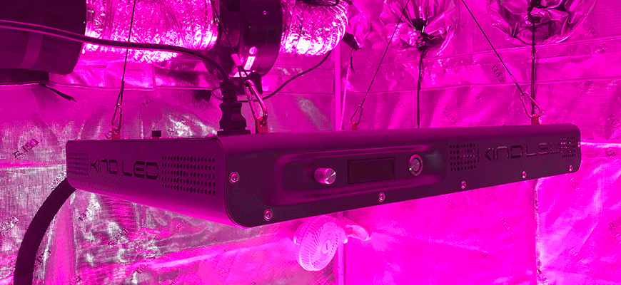 KIND LED K5 XL1000 WiFi Review