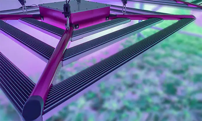 Supplemental Lighting