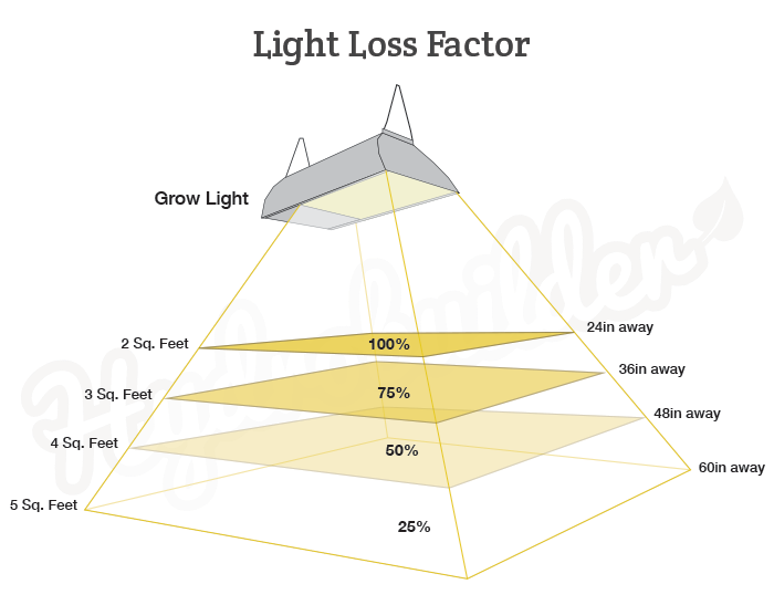 light footprint Grow Light Footprint