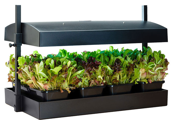 microgarden Which Systems Are Best For Growing Microgreens Hydroponically?