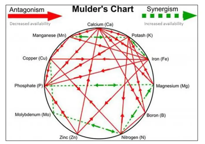plant nutrient ratio (npk balance)