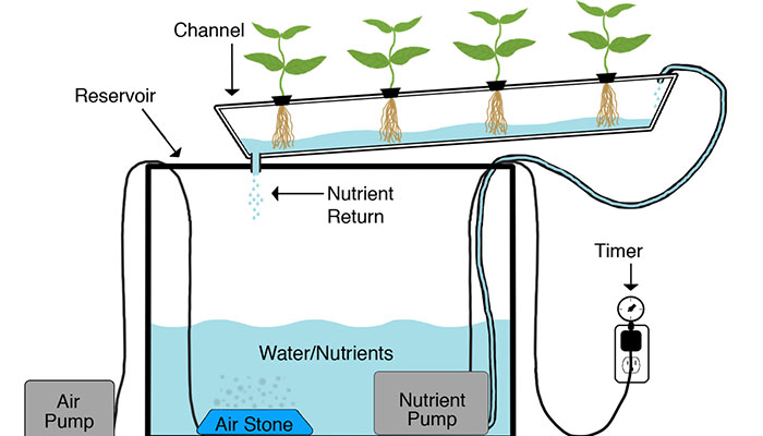 NFT Nutrient Film Technique (NFT)