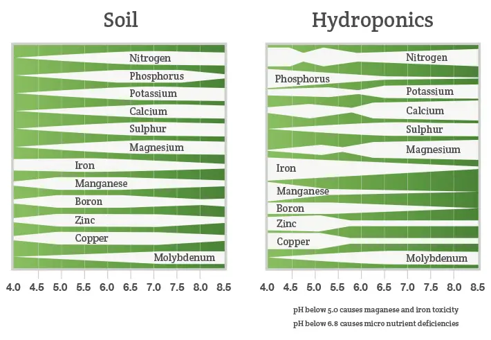 plant nutrients guide