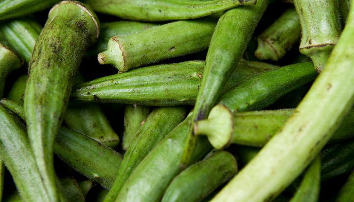grow-okra-plants How To Harvest Okra plants