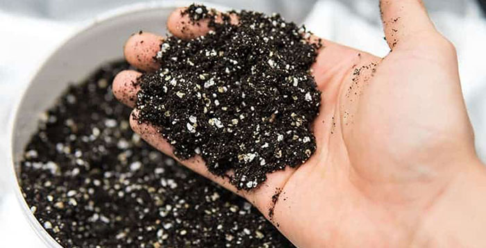 perlite-vs-vermiculite Consider pH When Deciding Between Perlite vs Vermiculite