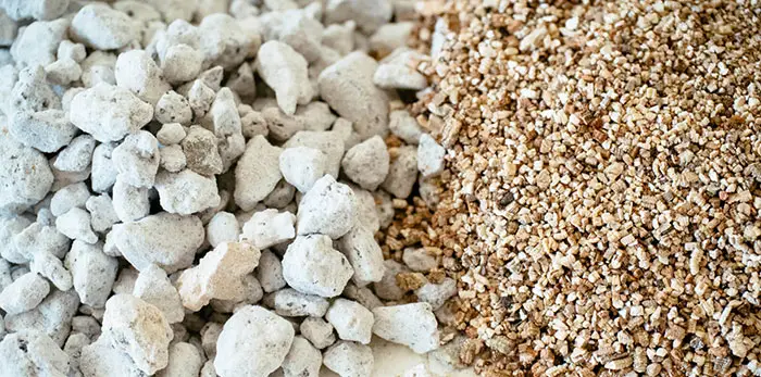 perlite vs vermiculite