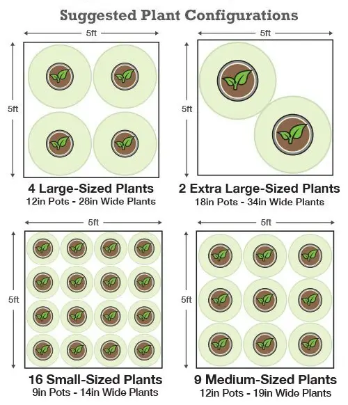 Plant Configurations