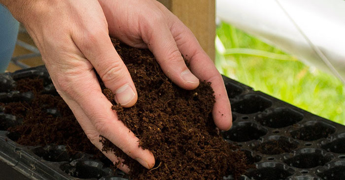 benefits-coco What Are The Benefits Of Growing In Coco Coir?