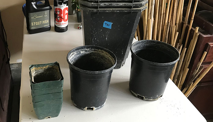 transplant-plants Step 1) Prepare your new pot or container